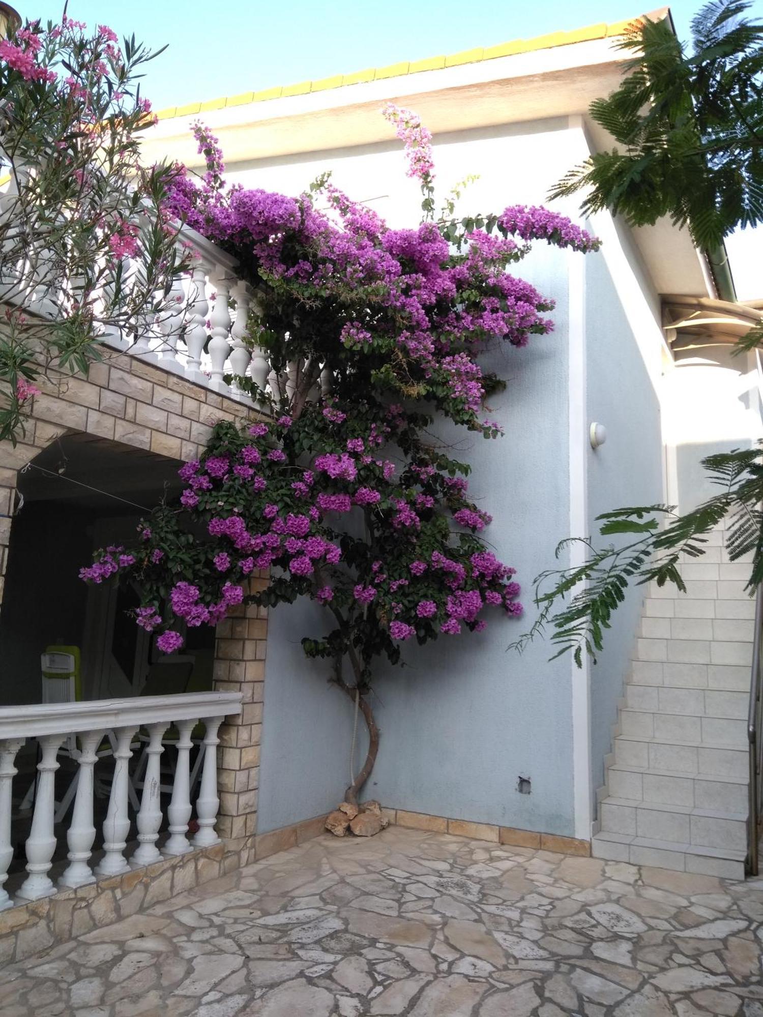 Apartmani Korade Vir Bagian luar foto