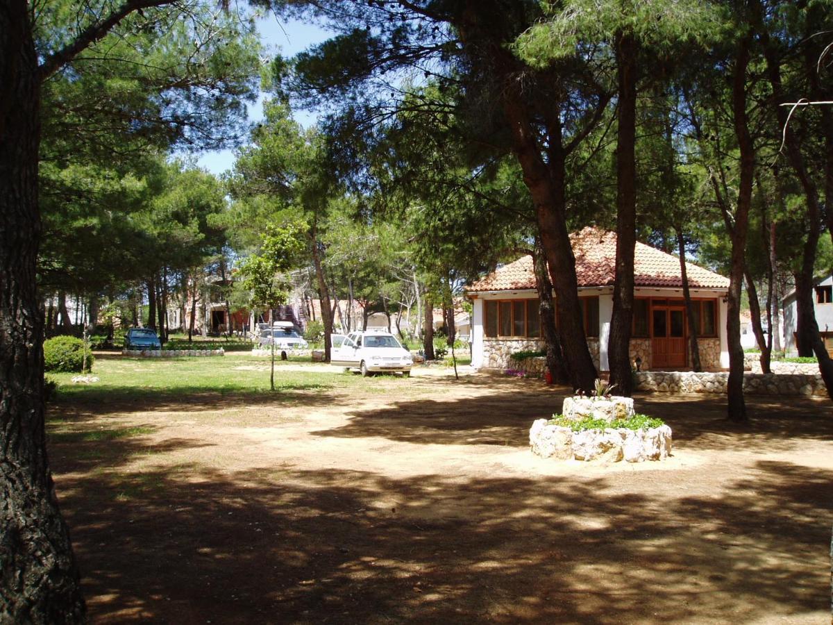 Apartmani Korade Vir Bagian luar foto