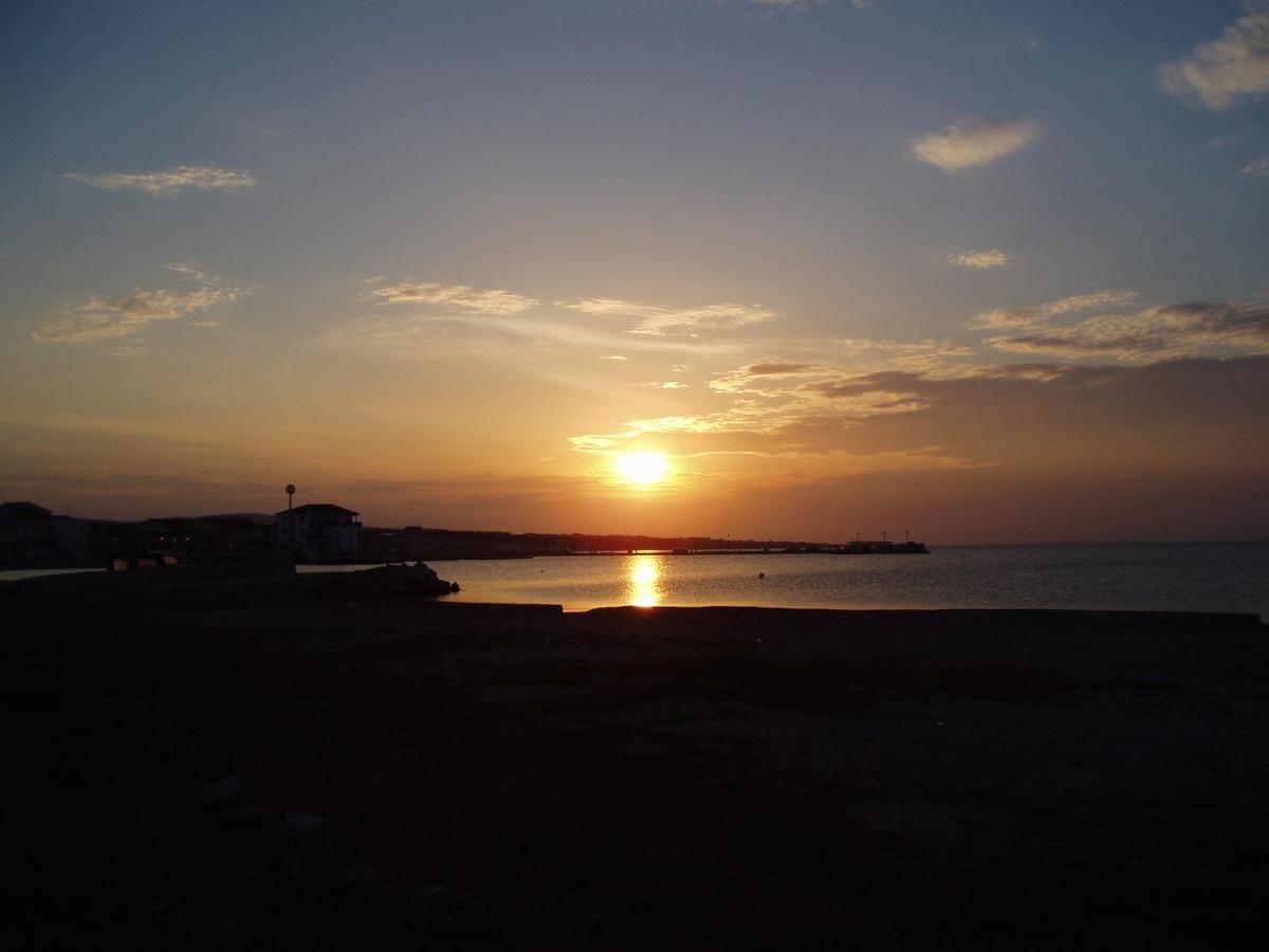 Apartmani Korade Vir Bagian luar foto